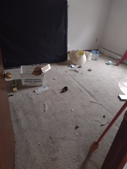 Room with old stained carpet and debris before removal